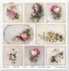 Papeles Scrapbooking SLS-068 Flower Post - Rose